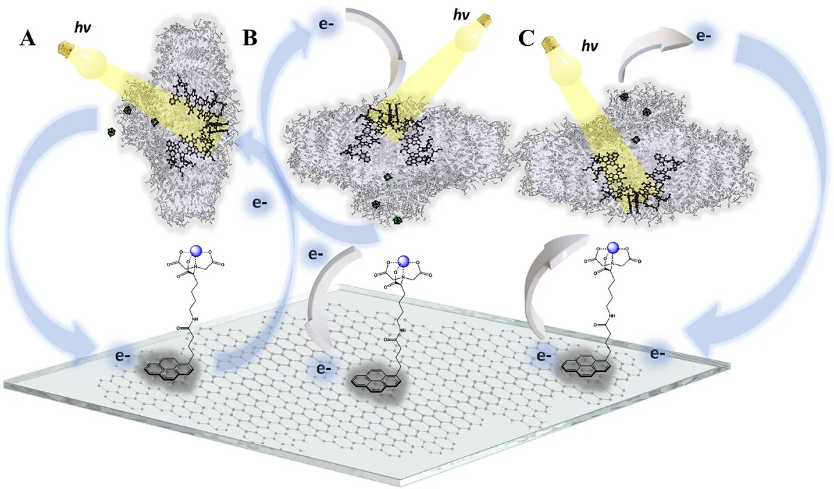 Schematyczny rysunek prezentuje trzy etapy reakcji fotokatalitycznej z udziałem nanomateriałów na przezroczystym podłożu, gdzie strumienie elektronów oraz kierunek promieniowania świetlnego zostały wyróżnione strzałkami; cząsteczki organiczne połączone...