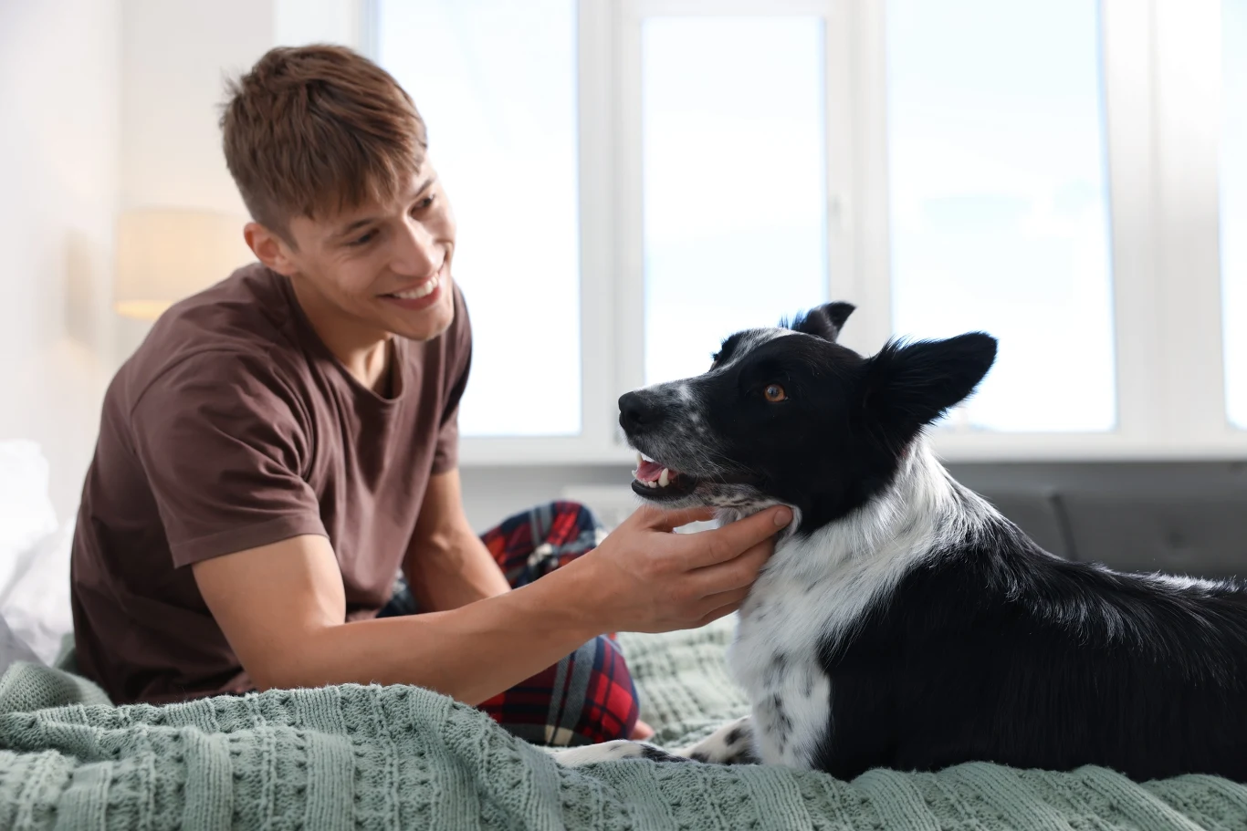 młody mężczyzna w brązowej koszulce głaszcze uśmiechniętego czarno-białego psa leżącego na łóżku pokrytym zielonym kocem, w tle duże okno wpuszcza jasne światło dzienne