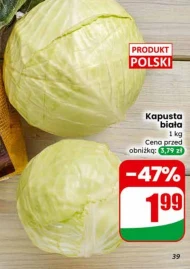 Kapusta biała Polski