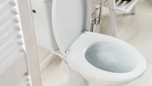 Wrzuć to do toalety na noc. Rano przetrzesz oczy ze zdziwienia