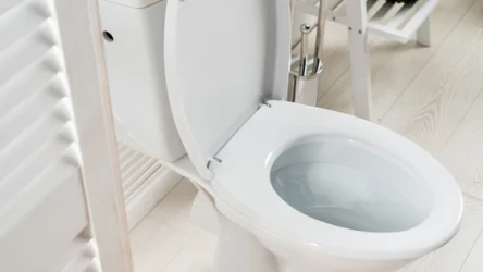 Jak skutecznie wyczyścić toaletę?