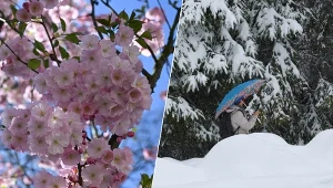 Peter nie wpłynie na całą Polskę. W niektórych miejscach znowu będzie biało