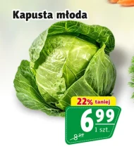 Kapusta młoda