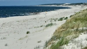 Już nie ma dzikich plaż? Tu są - nieodkryte miejsc e na Mierzei Wiślanej