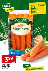Marchew Gardinia