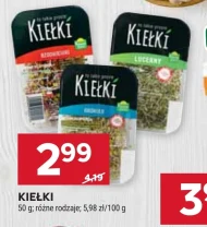 Kiełki K!