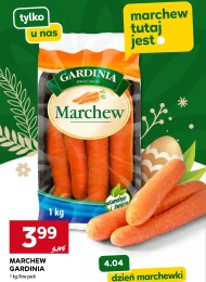 Marchew Gardinia