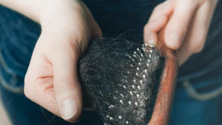 Czym jest szary osad na szczotce do włosów?