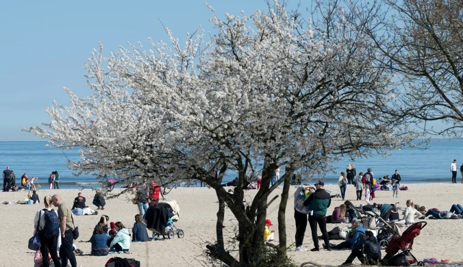 W Sopocie w Wielkanoc może być tłoczono