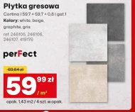 Płytka gresowa Perfect