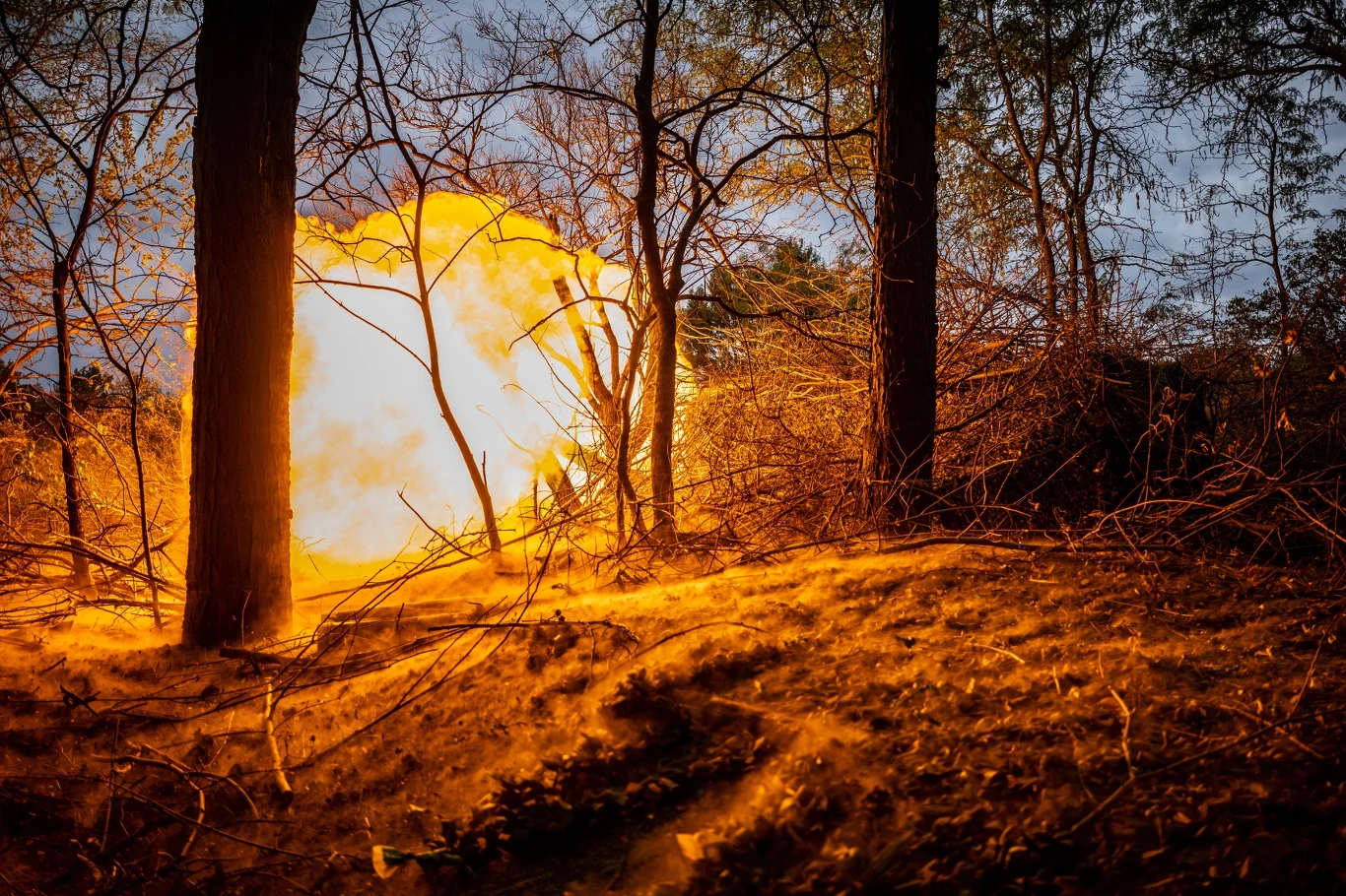 ogromny wybuch ognia rozświetlający gęsty las, płomienie intensywnie rozprzestrzeniają się wśród drzew i suchych gałęzi