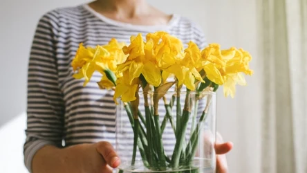 Żonkile postoją w wazonie znacznie dłużej. Wystarczy dodać do wody odrobinę tego produktu z kuchni.