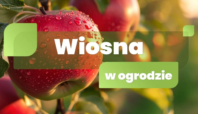 Wiosna w ogrodzie
