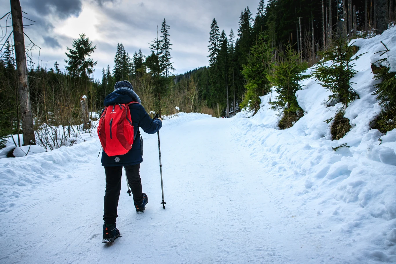 Planujesz wypad w Tatry? Koniecznie przeczytaj komunikat wydany przez TPN. Turysta w Tatrach idzie ośnieżoną leśną drogą w Tatrach, używając kijków trekkingowych.