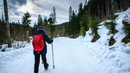 Planujesz wypad w Tatry? Koniecznie przeczytaj komunikat wydany przez TPN. 