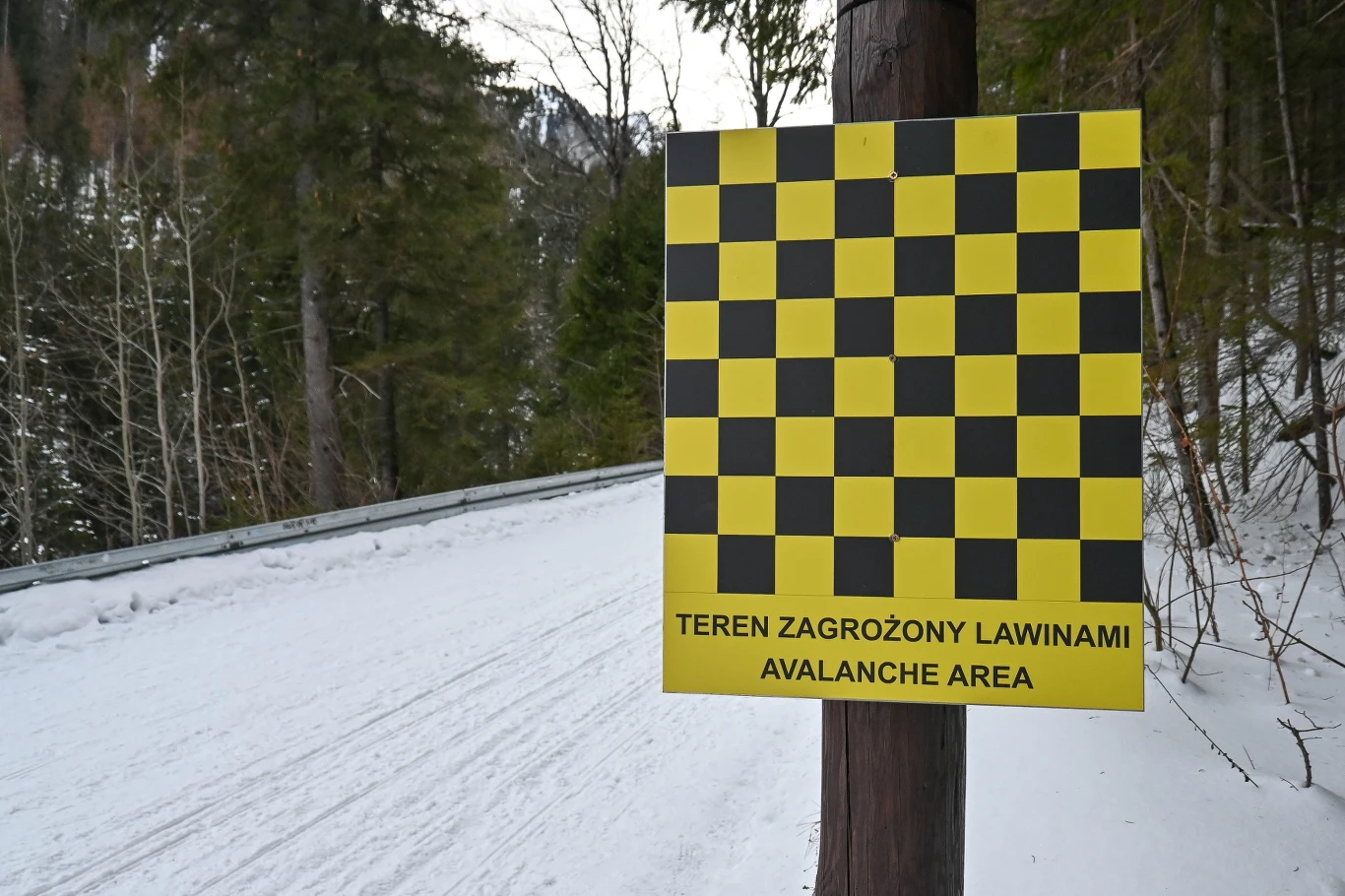 W Tatrach zima nie odpuszcza, a panujące warunki określane są jako bardzo trudne. żółto-czarna tablica ostrzegawcza z napisem „TEREN ZAGROŻONY LAWINAMI AVALANCHE AREA” przy leśnej, zaśnieżonej drodze otoczonej drzewami