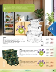 Wiosenne hity cenowe – BetterStyle