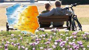 "Dziś nad Polską sporo chmur" - prognozują synoptycy. Pogoda podzieli kraj