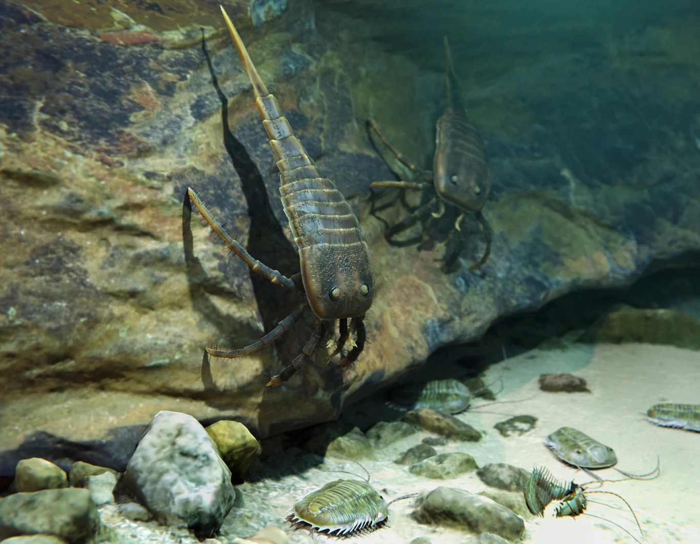 Dwa duże, prehistoryczne stawonogi z długimi ogonami poruszają się po dnie skalistego zbiornika wodnego, wśród mniejszych bezkręgowców i kamieni, podświetlone miękkim, rozproszonym światłem wodnym.