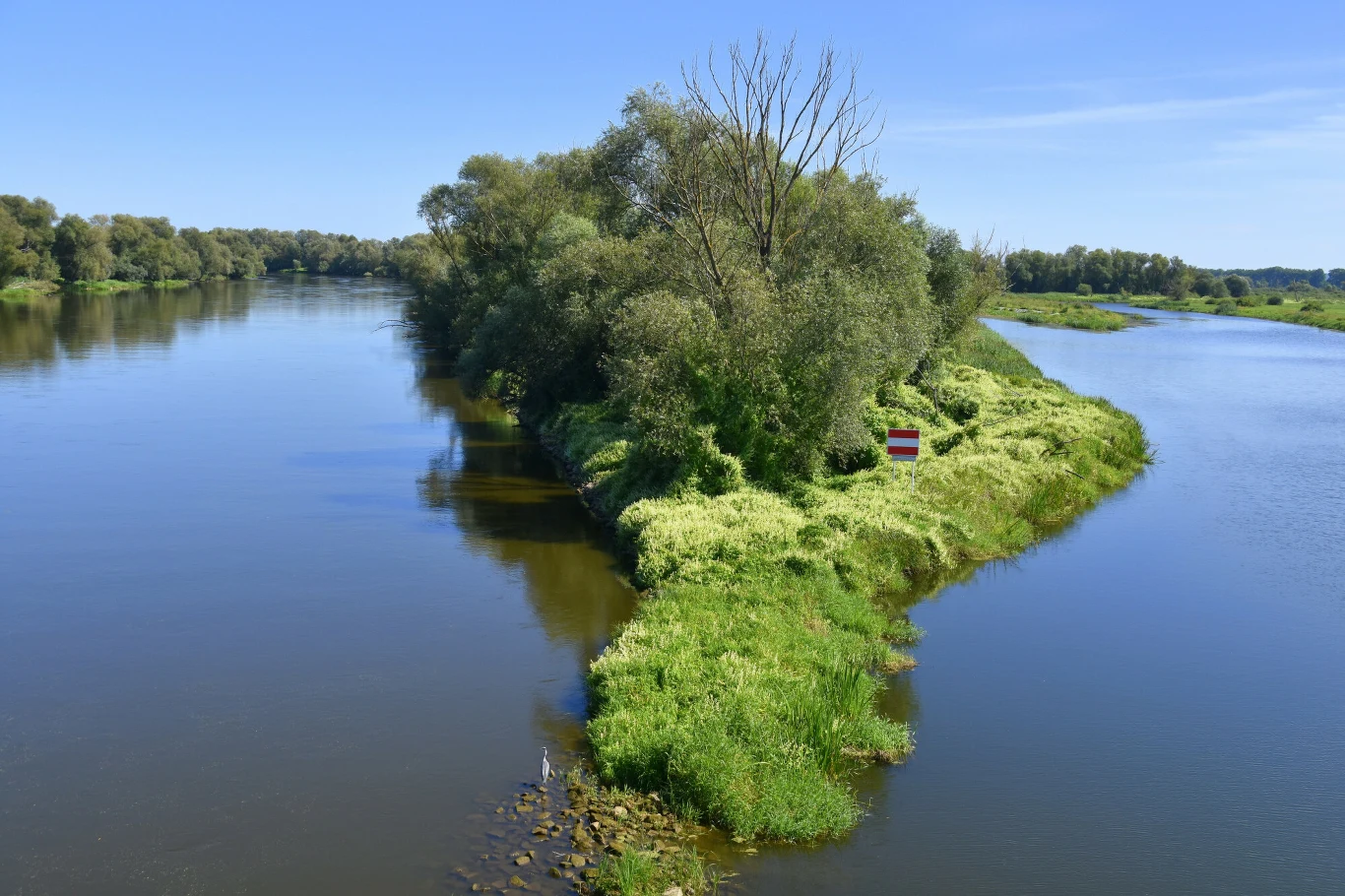 zielona wyspa porośnięta drzewami i gęstą trawą otoczona szeroką rzeką, wyraźnie zaznaczona granica lądu i wody, na wyspie widoczna tablica informacyjna