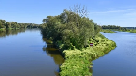 Zgodnie z zapowiedziami Ministerstwa Klimatu i Środowiska, jeszcze w kwietniu minister Paulina Hennig-Kloska ma podpisać rozporządzenie powołujące strefę ochrony zwierząt przy Parku Narodowym Ujście Warty