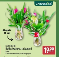 Bukiet tulipanów Gardenline