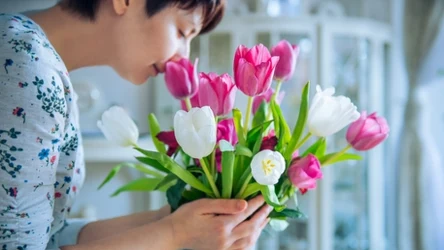 Tulipany opadły w wazonie? Wciąż możesz przywrócić im świeżość.