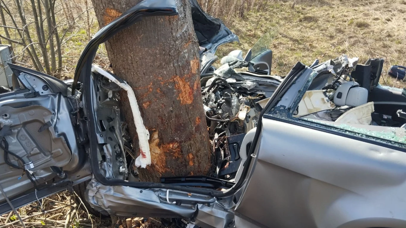 Samochód osobowy po bardzo poważnym wypadku drogowym uderzony z dużą siłą w drzewo, z całkowicie zniszczoną przednią częścią pojazdu oraz oderwanymi elementami karoserii, wnętrze auta zdeformowane przez uderzenie.