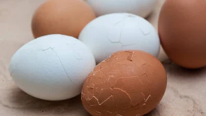 Takich jajek nie podawaj na Wielkanoc. Popełnisz gafę