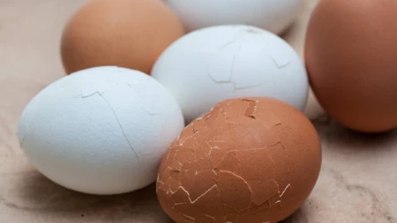 Takich jajek nie podawaj na Wielkanoc. Popełnisz gafę
