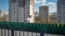 Balkon wolny od gołębi. Czym odstraszyć ptaki? 