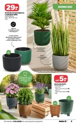 Twój zakątek pełen zieleni! - Netto