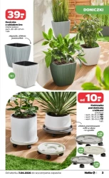 Twój zakątek pełen zieleni! - Netto