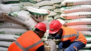 Cukier już drożeje w wyniku obaw zwiążanych ze skutkami wojny na Bliskim Wschodzie. Na zdj. rozładunek cukry w jednym z azjatyckich portów