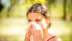 Alergie na pyłki staną się coraz bardziej dokuczliwe