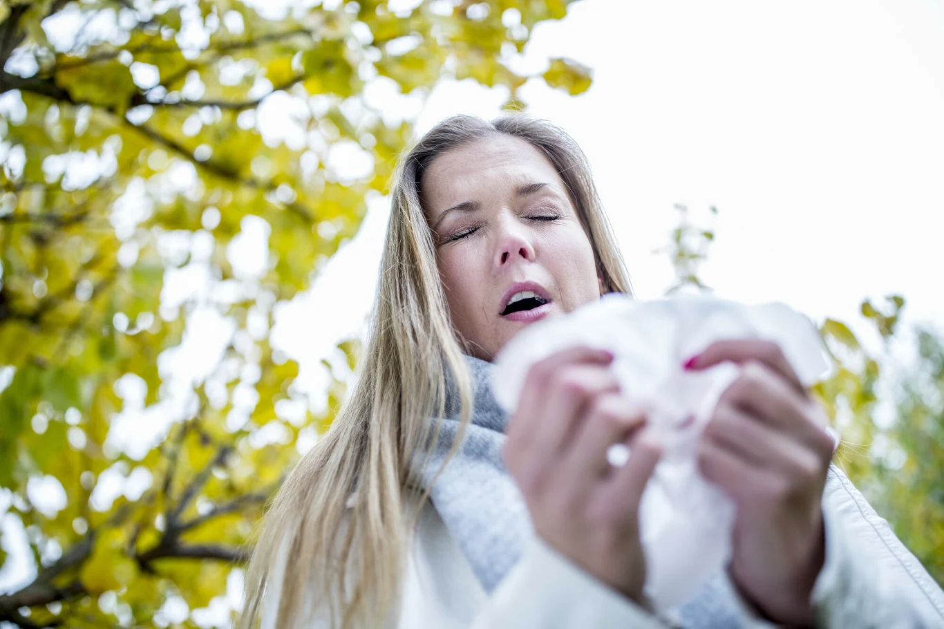 Kobieta z długimi blond włosami, ubrana w jasny szalik i płaszcz, kicha trzymając chusteczkę w dłoniach, w tle żółte liście drzewa.