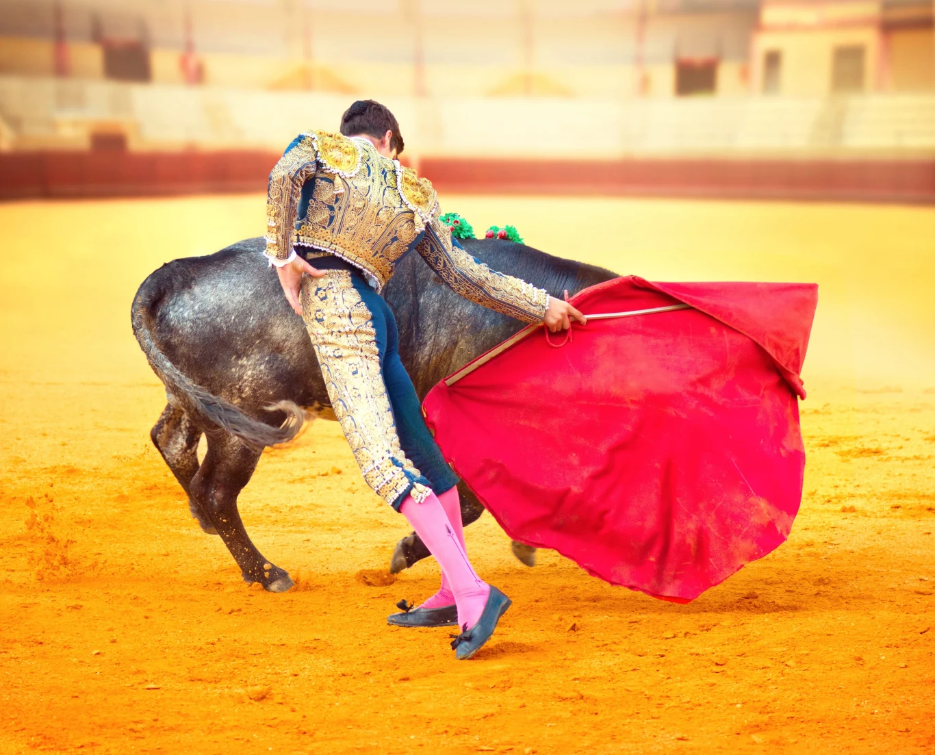 matador w bogato zdobionym stroju wykonuje zwrotny ruch z dużą, czerwoną płachtą przed bykiem na arenie corrida
