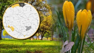 Zmienna pogoda w Wielkanoc. Lokalnie może nawet zagrzmieć