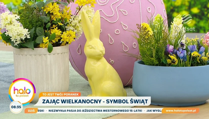 Wielkanocny zając. O tajemnicach świątecznego symbolu rozmawiamy z Łukaszem Bożyckim