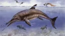 Ichtiozaury są już całkiem dobrze poznanymi zwierzętami z mezozoiku