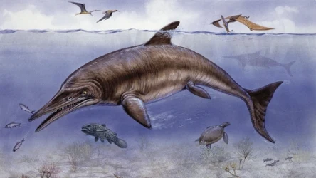 Ichtiozaury są już całkiem dobrze poznanymi zwierzętami z mezozoiku
