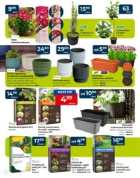 Kosimy ogród i ceny! - PSB Mrówka