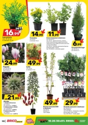 Fachowe wsparcie dla firmy - Bricomarché