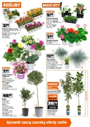 Ogród marzeń w zasięgu ręki - OBI