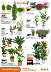 Ogród marzeń w zasięgu ręki - OBI