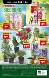 Oszczędzaj zawsze i wszędzie - Biedronka