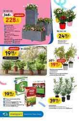 Świętujemy urodziny! - Castorama