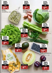 Wiosenny chill - bi1