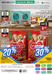 Wiosenny chill - bi1