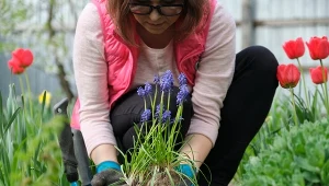 Nie sadź przypadkowo. Dopasuj rośliny do znaku zodiaku i zobacz różnicę